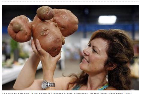 世界一 重さ3 8キロのジャガイモ Unizine